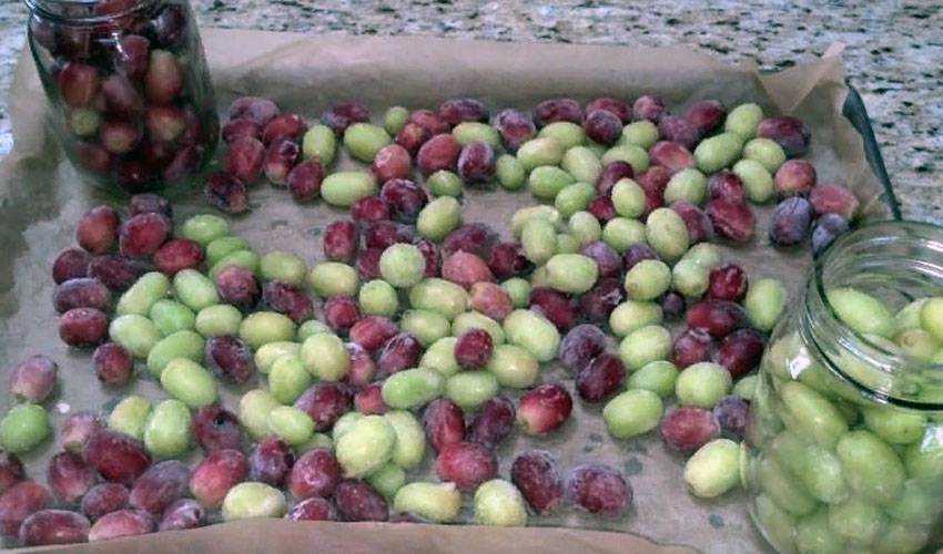 Остаются ли витамины в зимних заготовках: важно знать