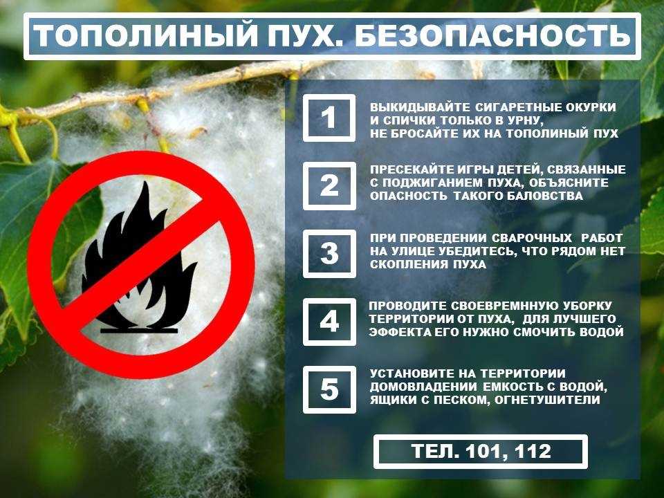 Самая первая песня иванушек интернешнл. иванушки international группа