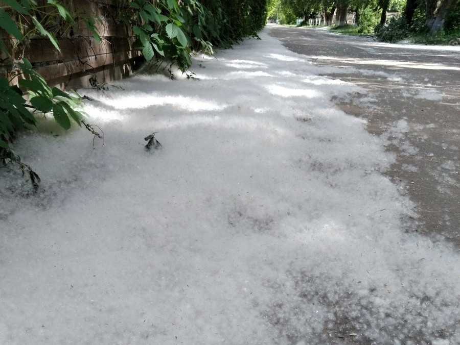 Клип иванушки international – тополиный пух « смотреть клип тополиный пух