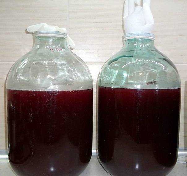 Вино из смородины в домашних условиях – простые рецепты смородинового вина