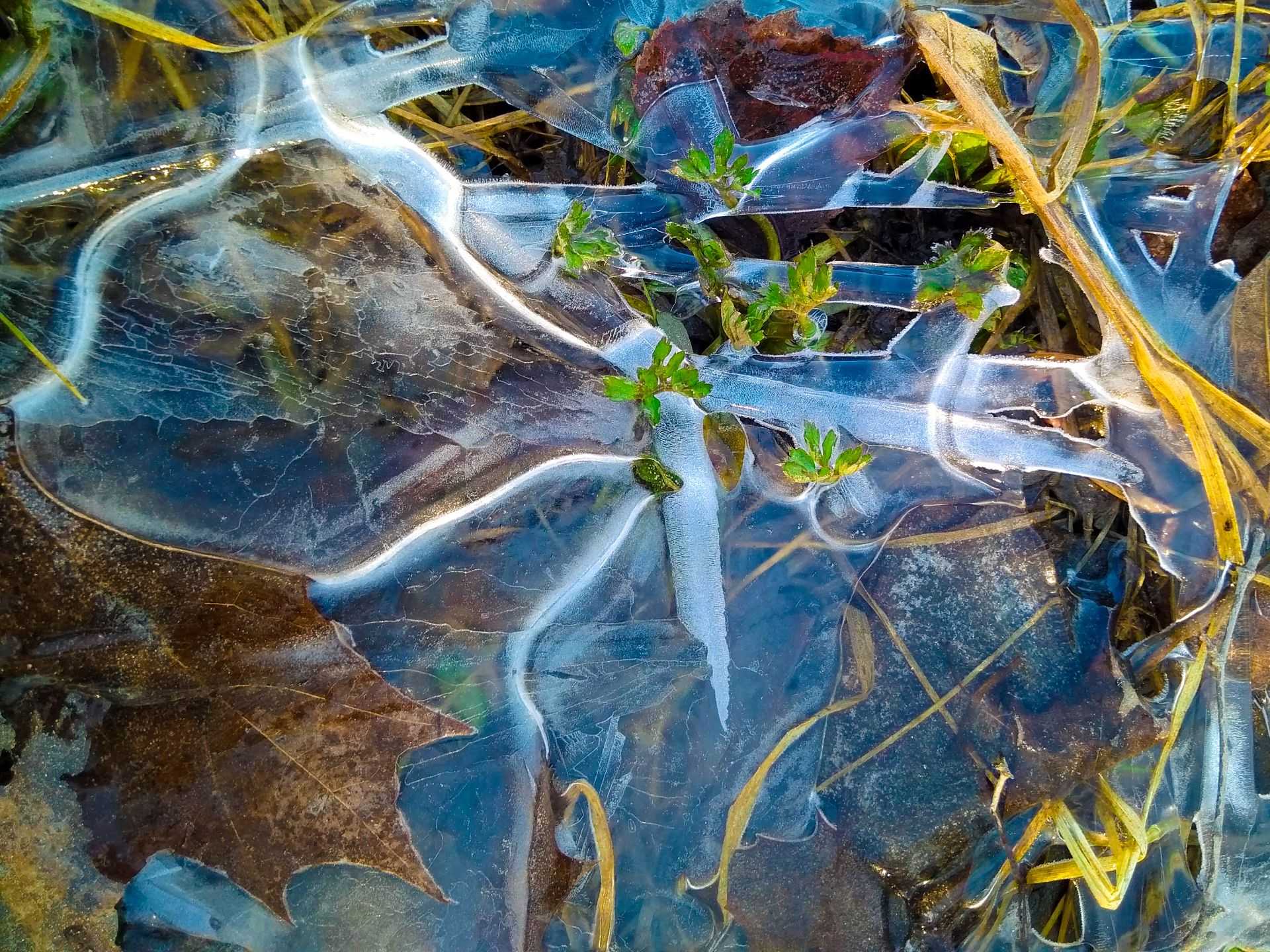 Какое увеличение должно быть у микроскопа чтобы увидеть микробов - staralien.ru