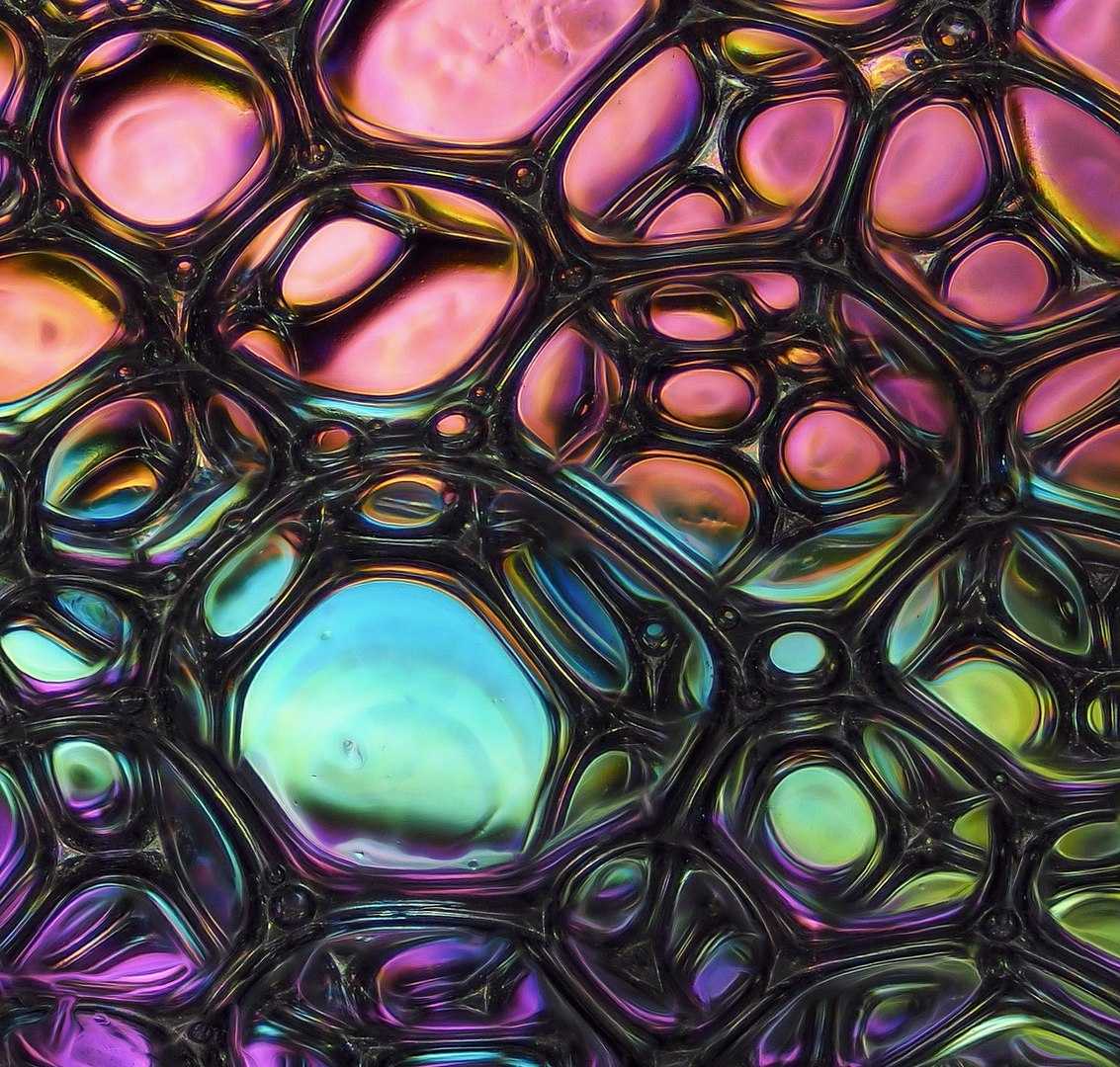 Природа онлайн