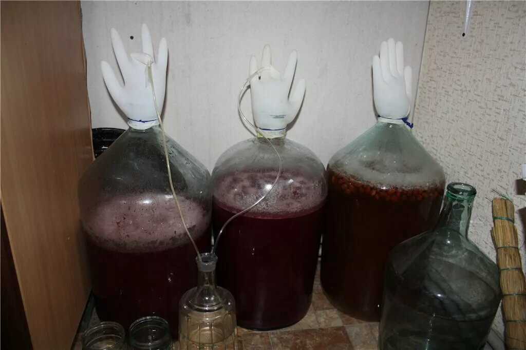 Почему брага долго бродит и как ускорить этот процесс?