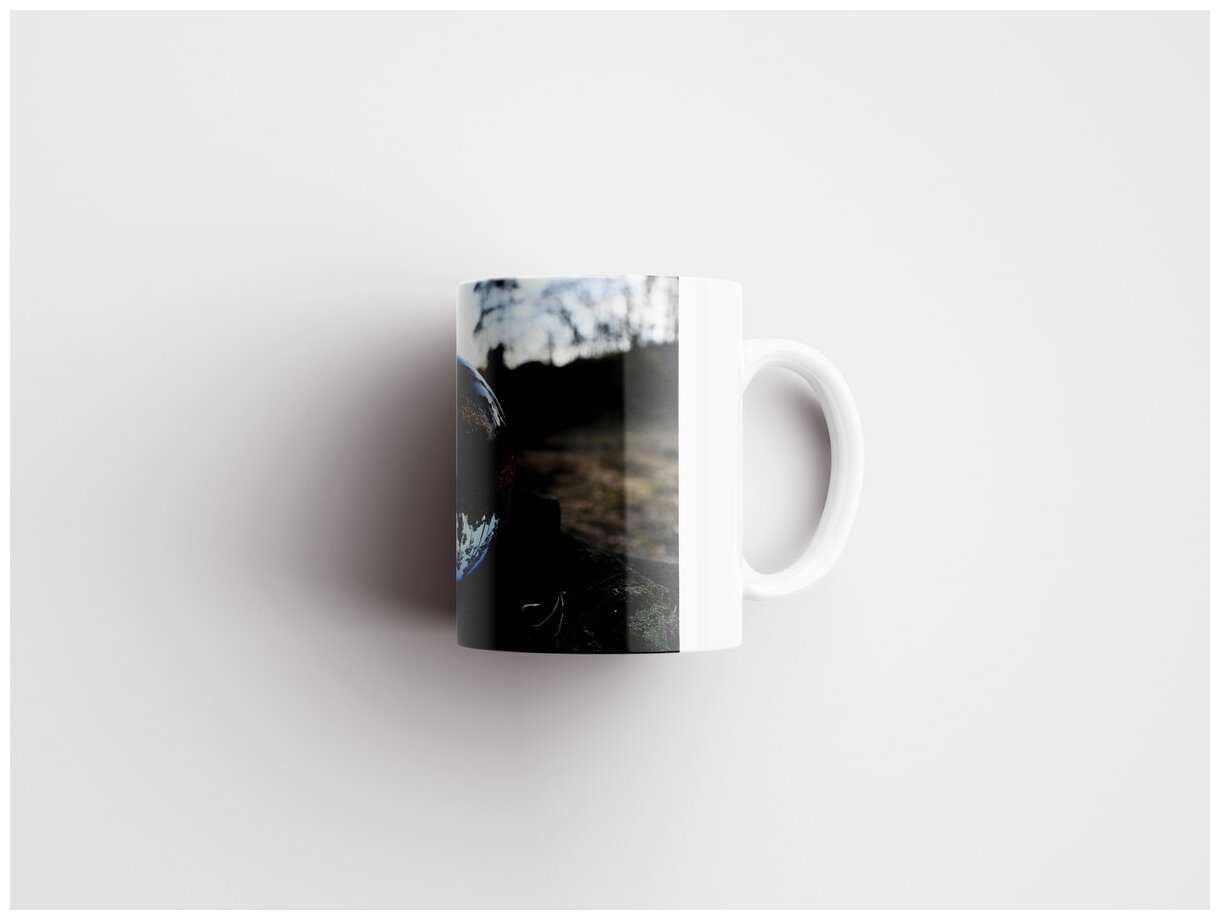 Бактерии: увлекательный мир под микроскопом