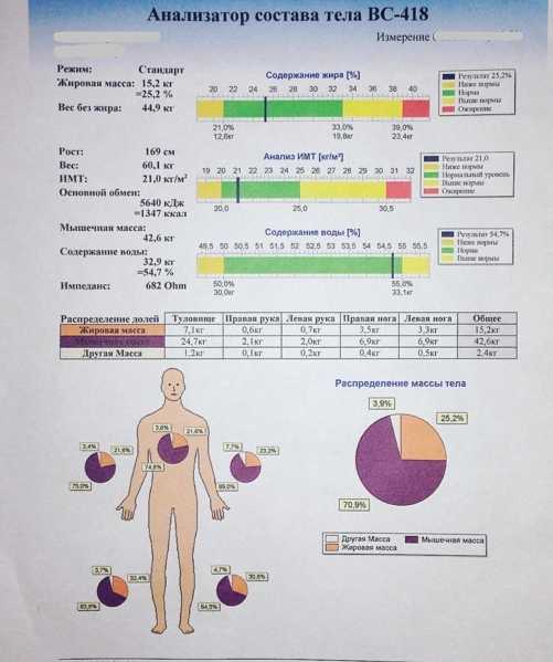 Характеристики внутриклеточной жидкости, состав и функции