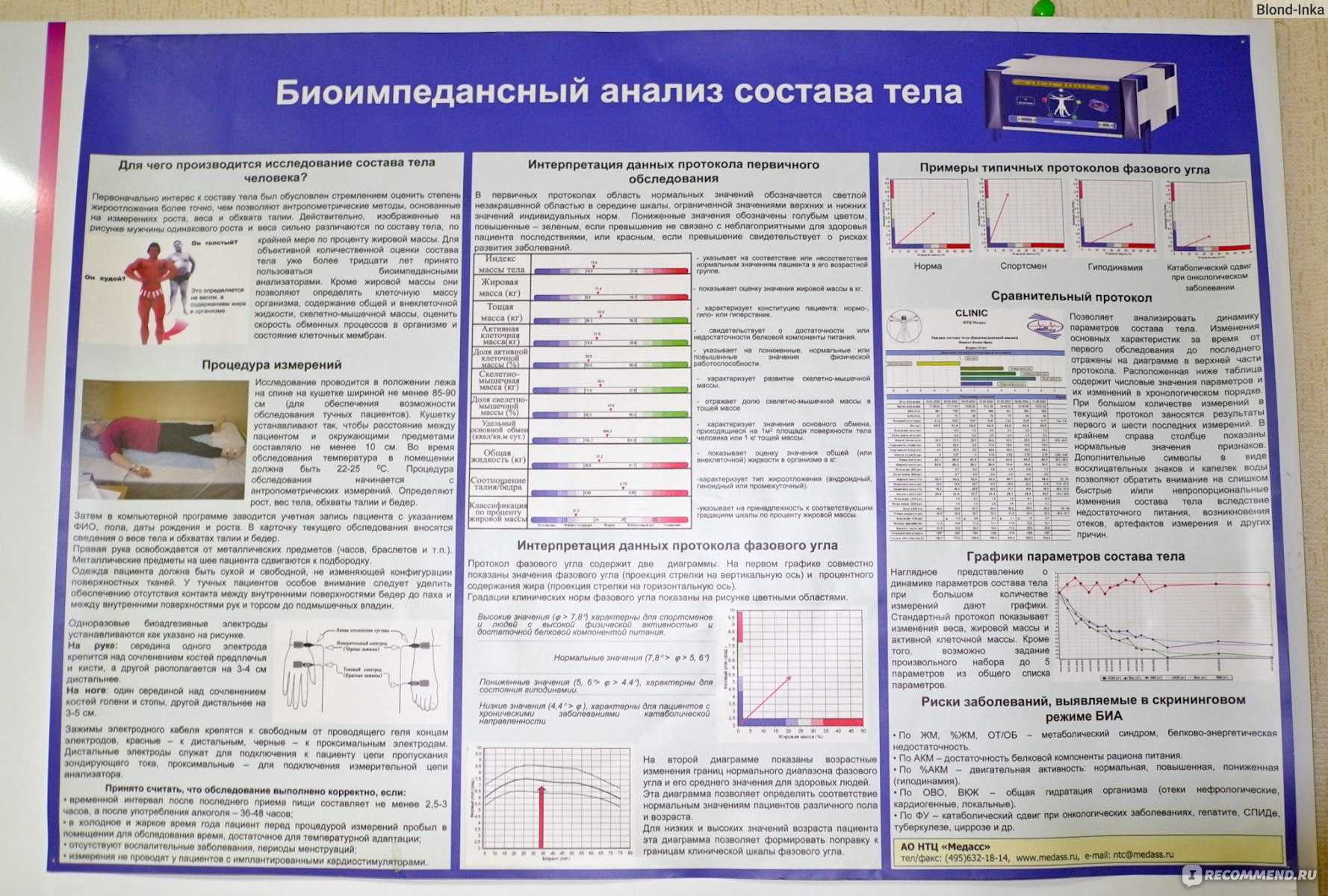 Внеклеточная жидкость: состав и функции - биология - 2024