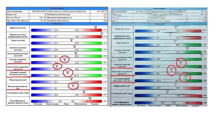 Соотношение вжк и окж для здоровья: основные аспекты и практические советы
