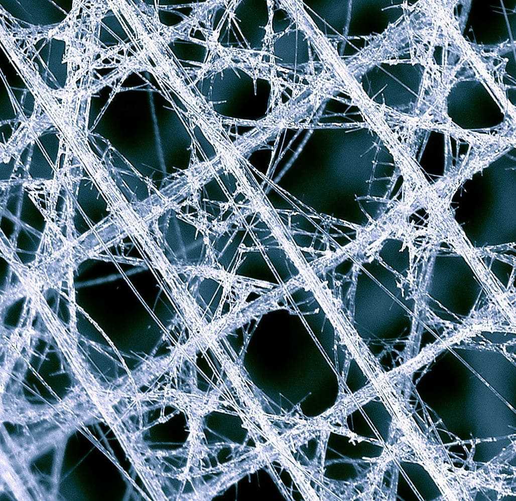 Увидеть бактерии в микроскоп можно при увеличении от 160 крат и выше Для работы с микроорганизмами вам будет достаточно биологического микроскопа с увеличением до 400 крат