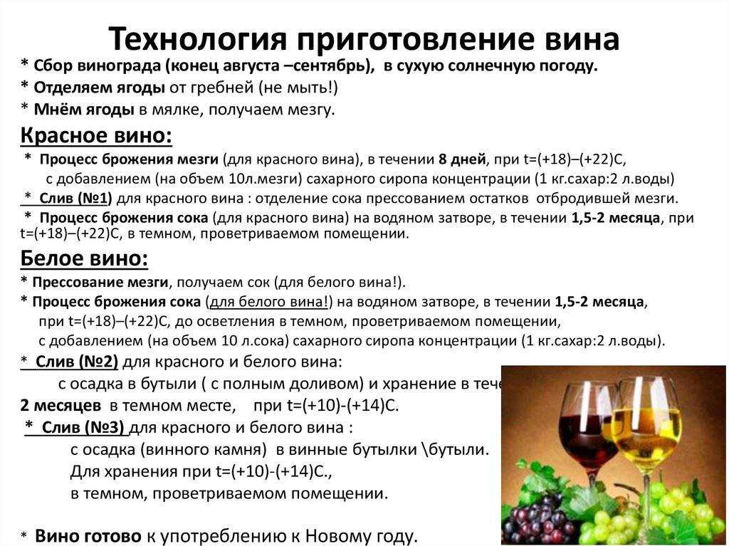 Почему вино не бродит: что делать и как его спасти