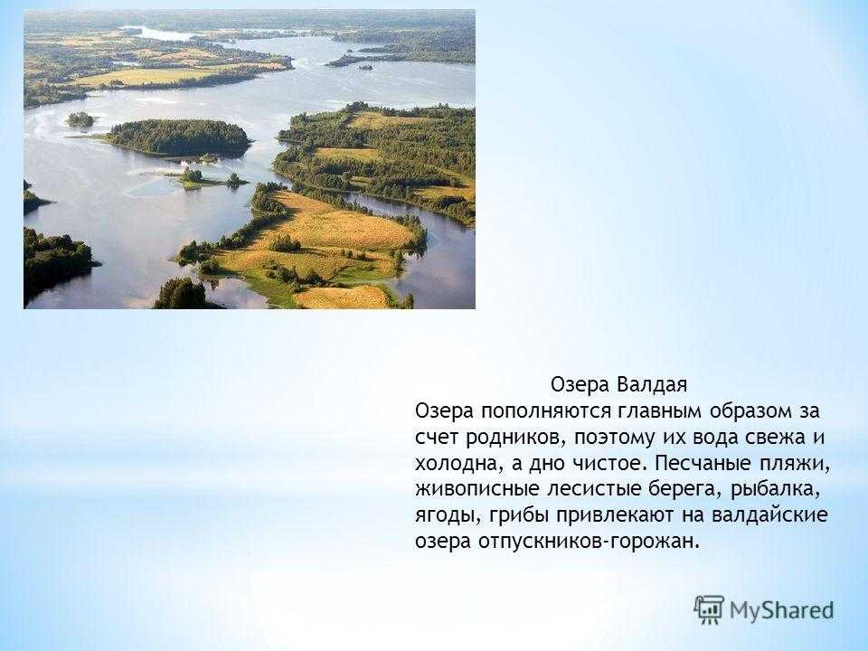 Заколдованный лес