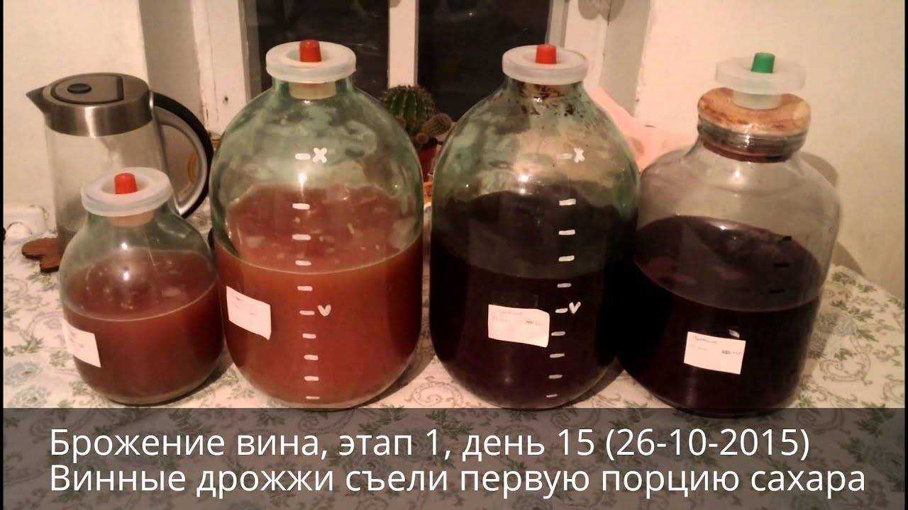 Вино: бурное брожение и уход за ним