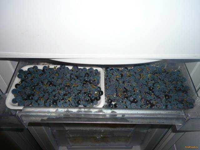 Можно ли замораживать виноград на зиму в морозилке и как