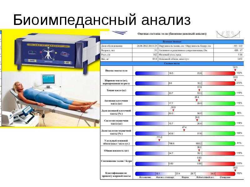 Что такое соотношение вкж и окж: основные понятия и принципы для тренировок