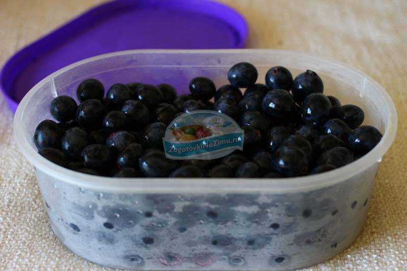 Замораживание винограда изабелла на зиму