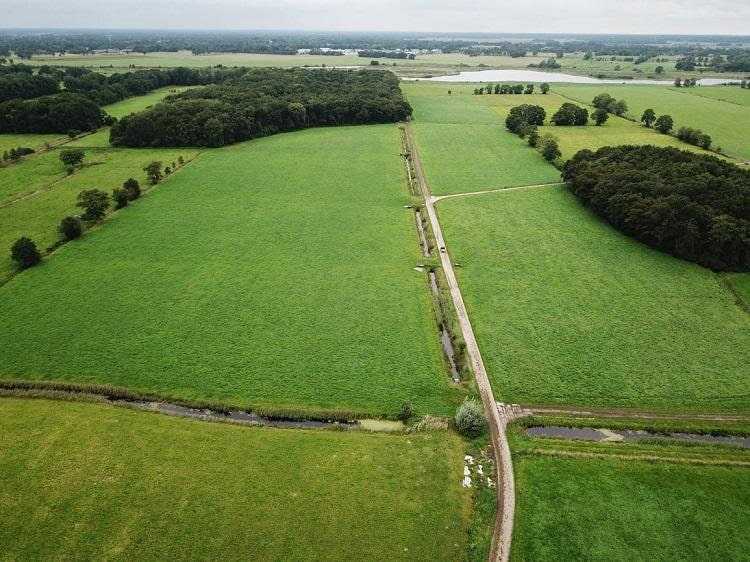 Как ⭐ найти площадь: определение в математике, формула площади