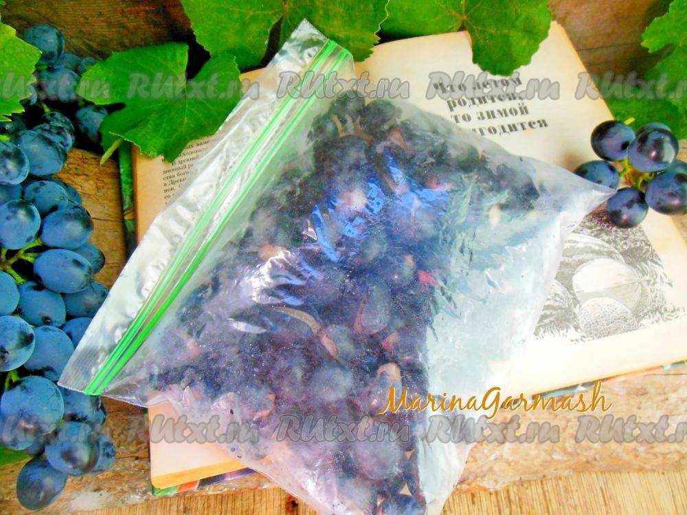 Можно ли замораживать виноград на зиму в морозилке: 6 лучших способов, правила