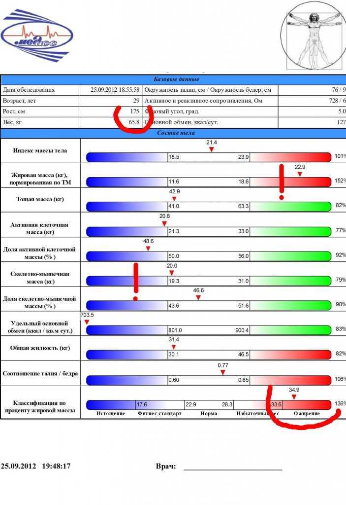 Что измеряют при помощи анализа декса? - все про технику, iphone, mac, ios
