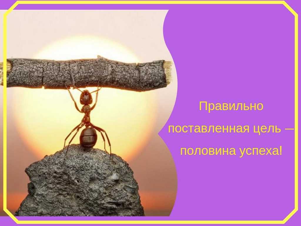 Цель по смарт: учимся на примерах, как составить правильно