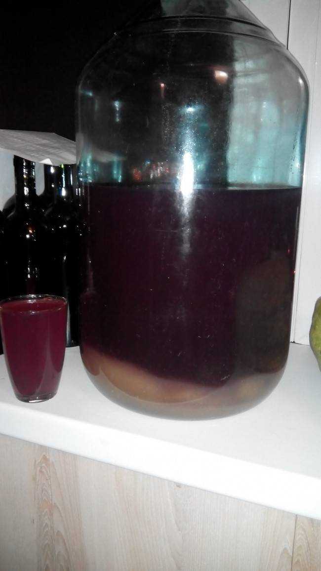 Что делать если вино не бродит как исправить данный процесс