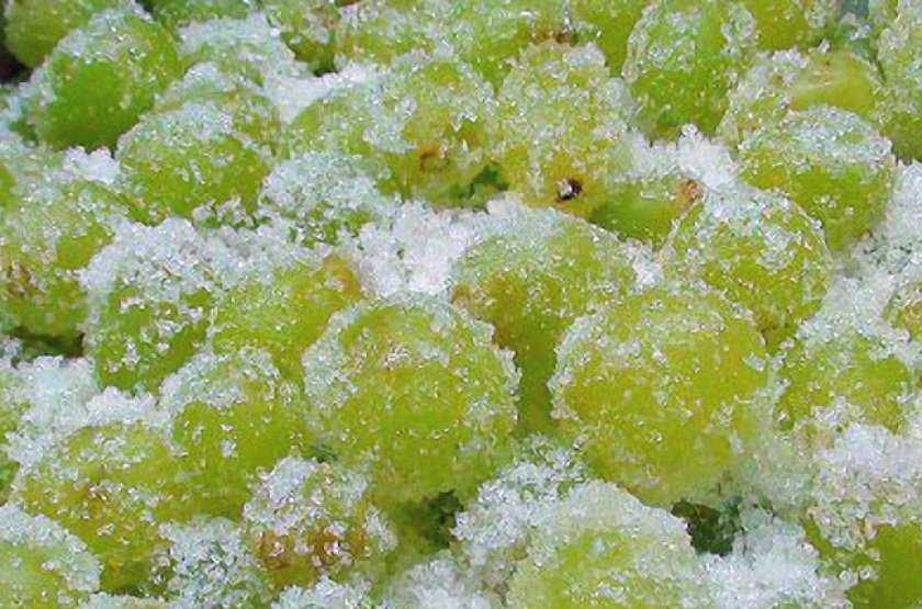 Можно ли замораживать виноград на зиму в морозилке в домашних условиях: инструкция по сухой заморозке в морозильной камере и другие способы (в сиропе, вине)