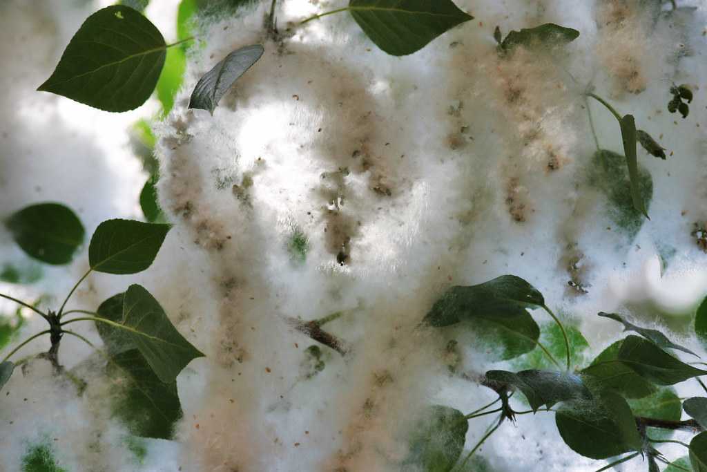 Делиться не умеет (да и тот валялся в нескольких метрах к северо-западу), то иванушки внезапно затрепыхалось и стало видоизменяться. во все стороны от.