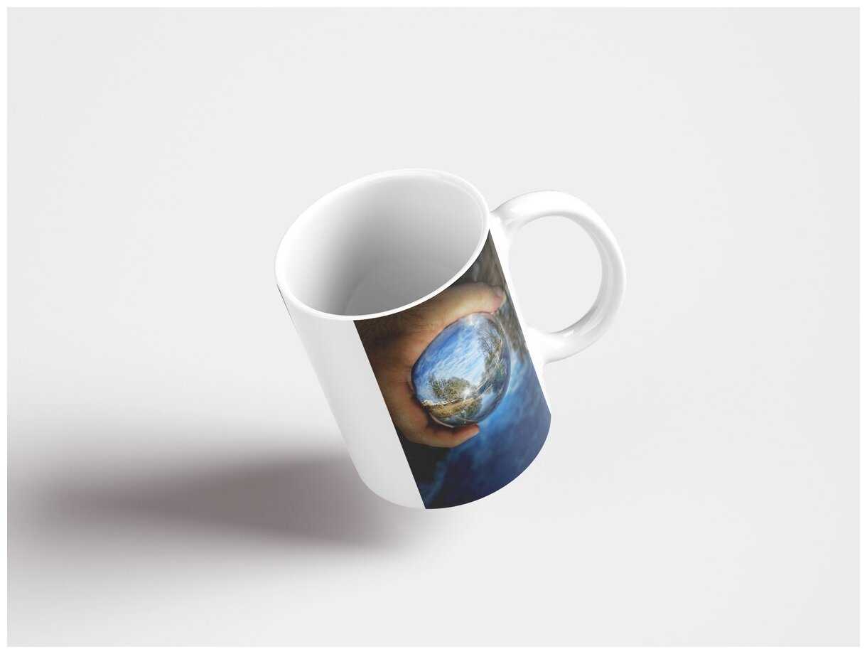 Пресноводные бактерии под микроскопом – microbia.ru