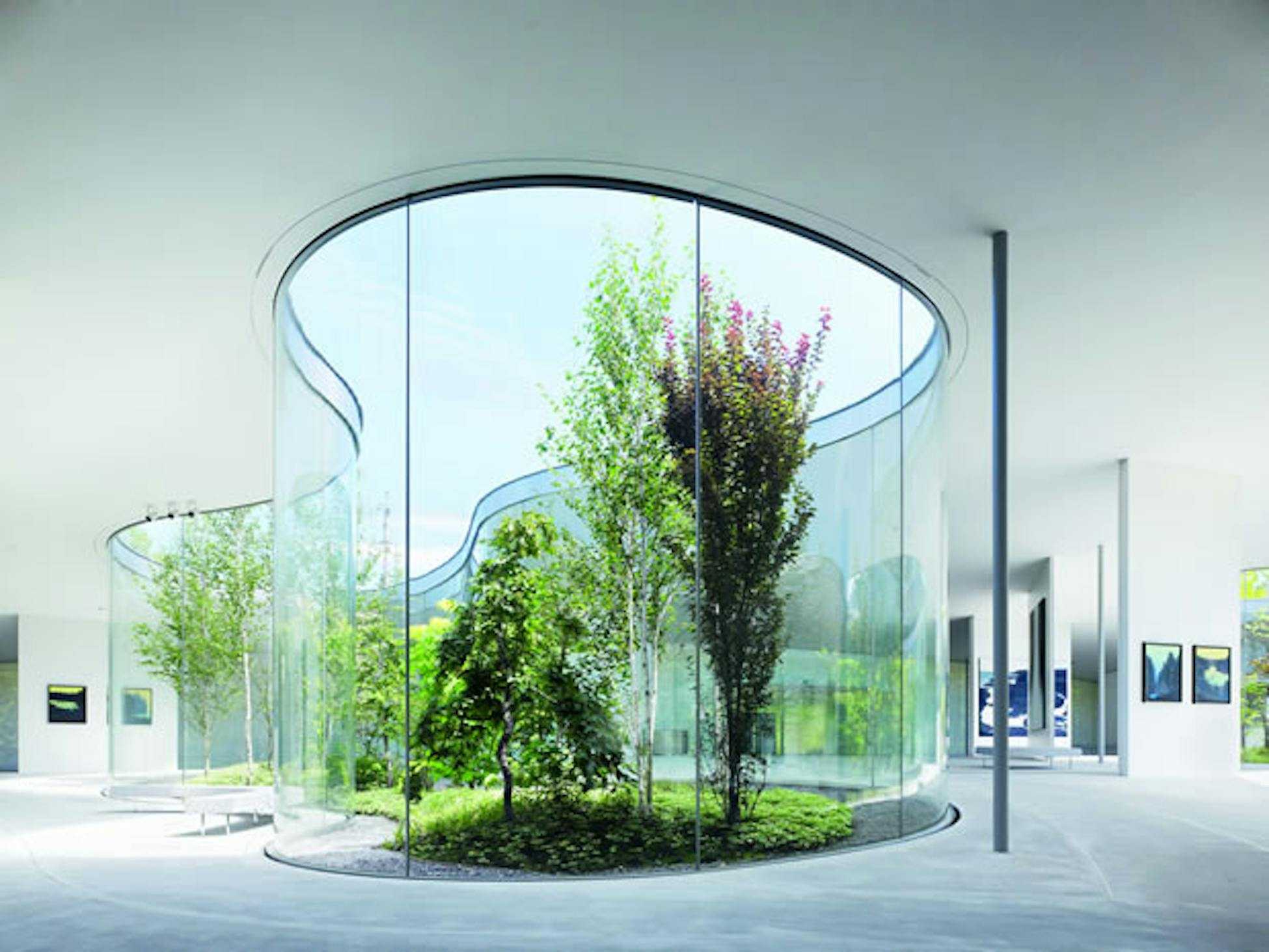 Исследование наличия микроорганизмов на руках человека