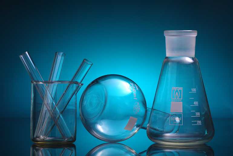 Microbiology note – online biology notes
