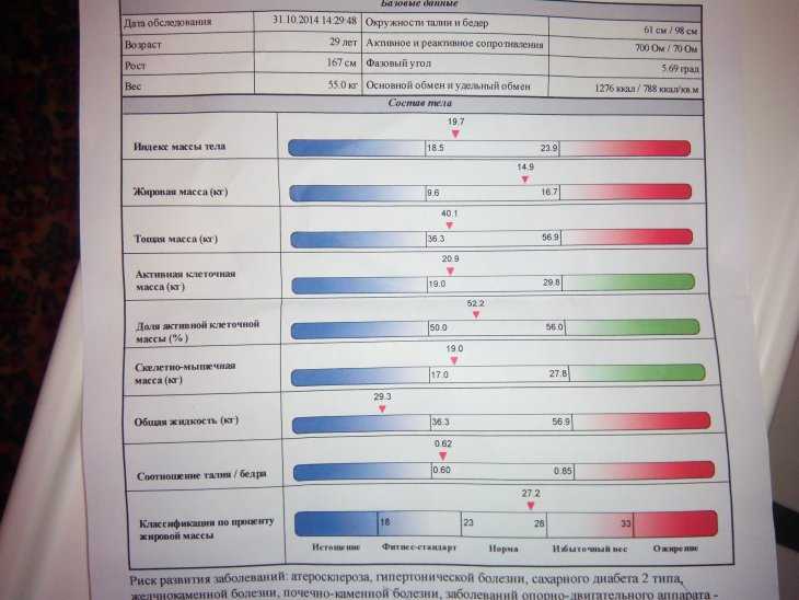 Соотношение вкж и окж: что это такое и как оно влияет на организм