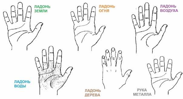 О чем говорит длина, жесткость / мягкость, гибкость рук по хиромантии