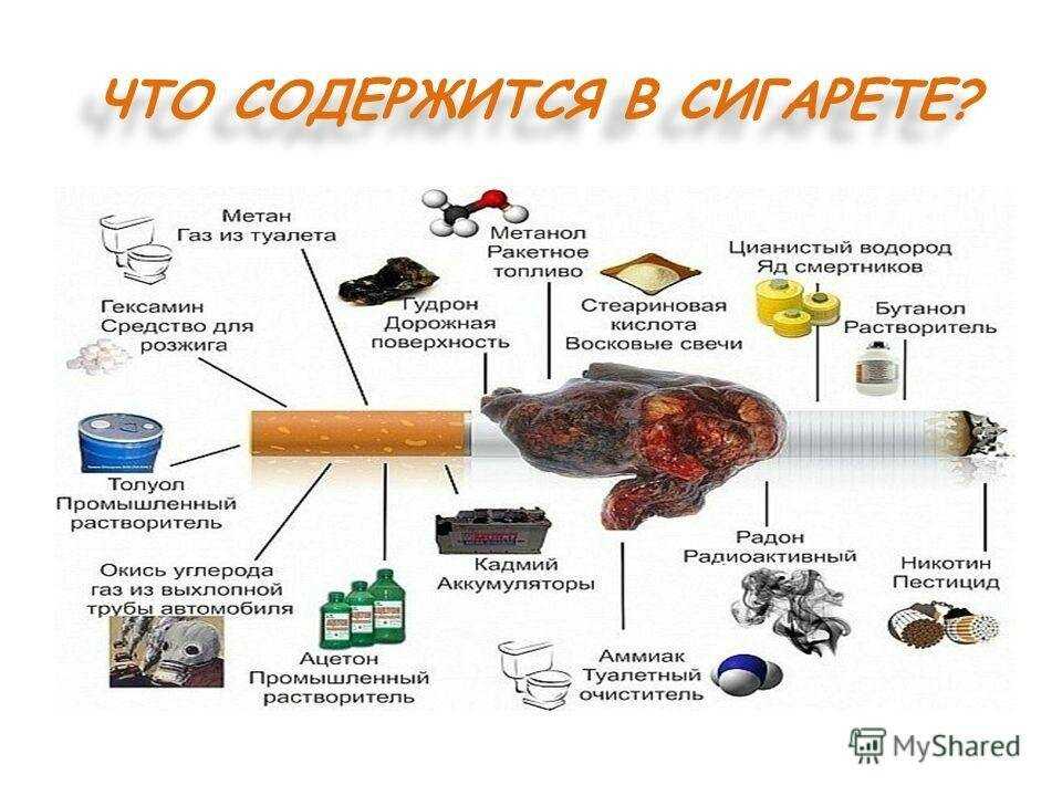 Вирджиния Самый распространенный сорт табака растет практически всюду и применяется в подавляющем большинстве табачных смесей Родина этого сорта США и сегодня именно там в штатах Вирджиния и Каролина растут лучшие образцы