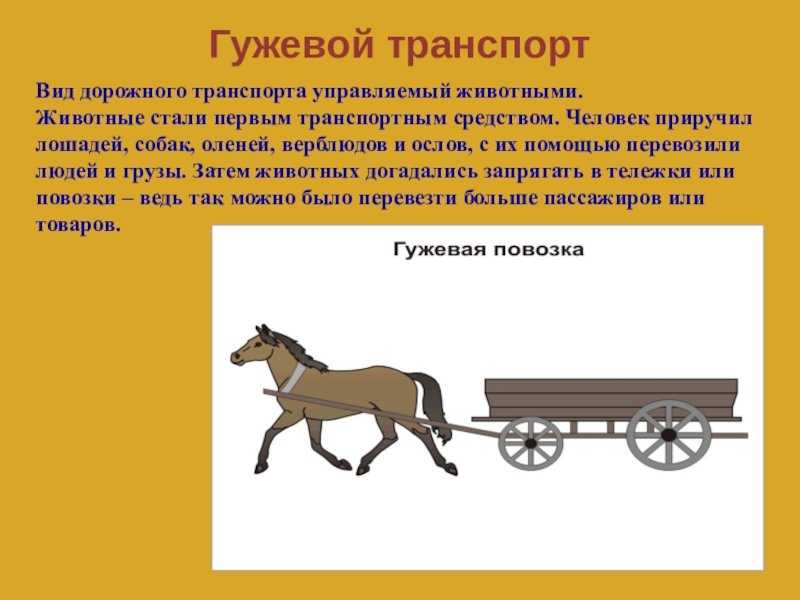 Гужевой транспорт в россии - вся специфика его использования, включая пдд