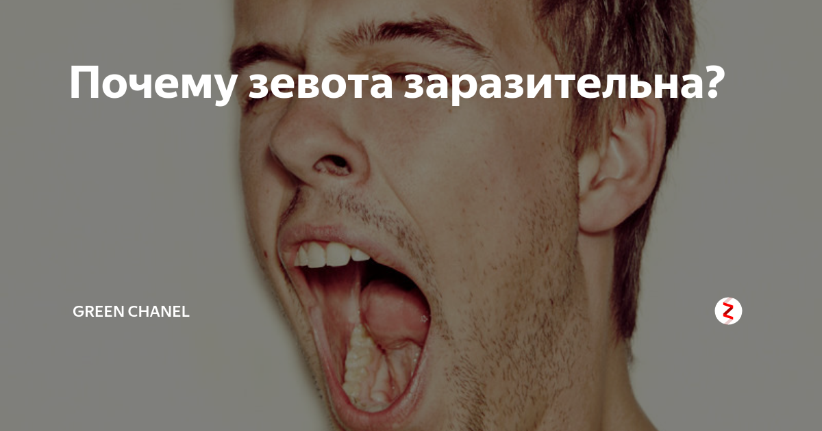 Невербальные признаки симпатии