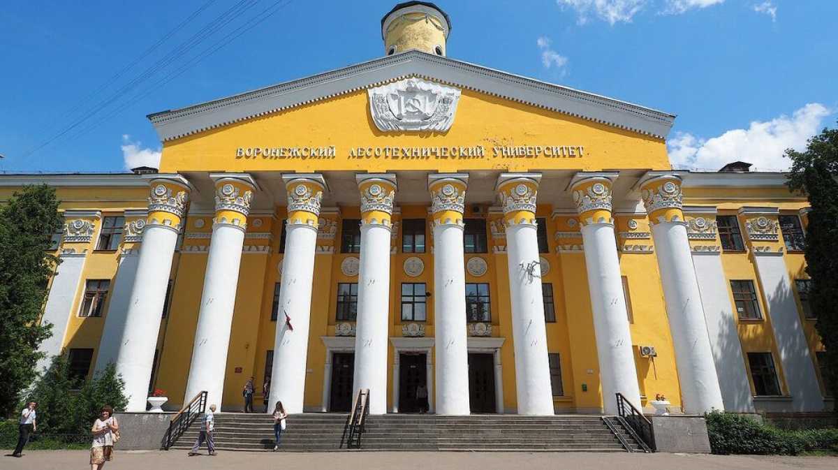 Вгу какие предметы сдавать при поступлении. образование