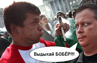 Выдыхай бобер: значение, происхождение и интересные факты