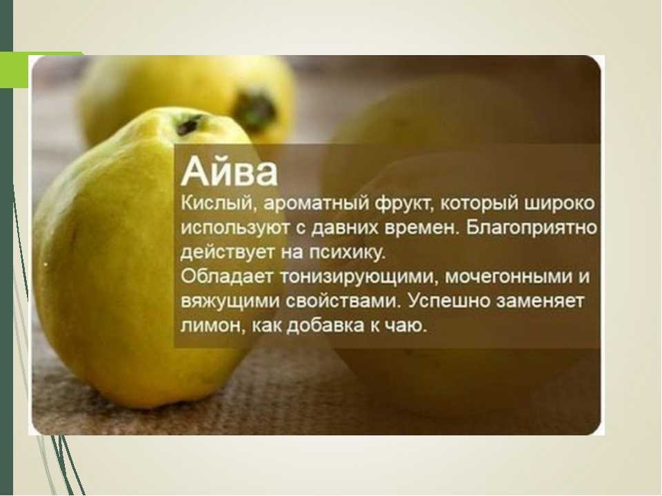 Айва – полезные и целебные свойства спелого плода. хранение семечек японской айвы. возможный вред и противопоказания к употреблению фрукта