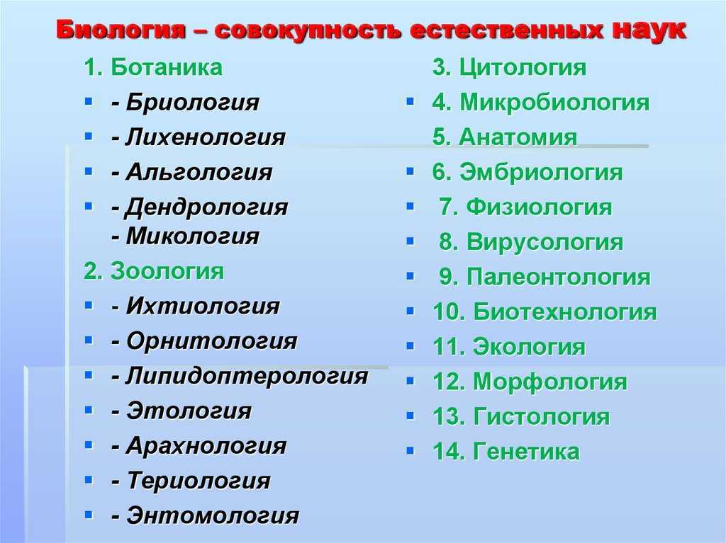 Классификация и перечень дисциплин, предмет и объект изучения естественных наук