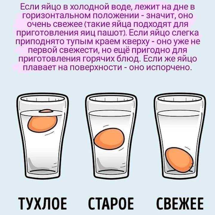 Если яйца всплывают в воде -