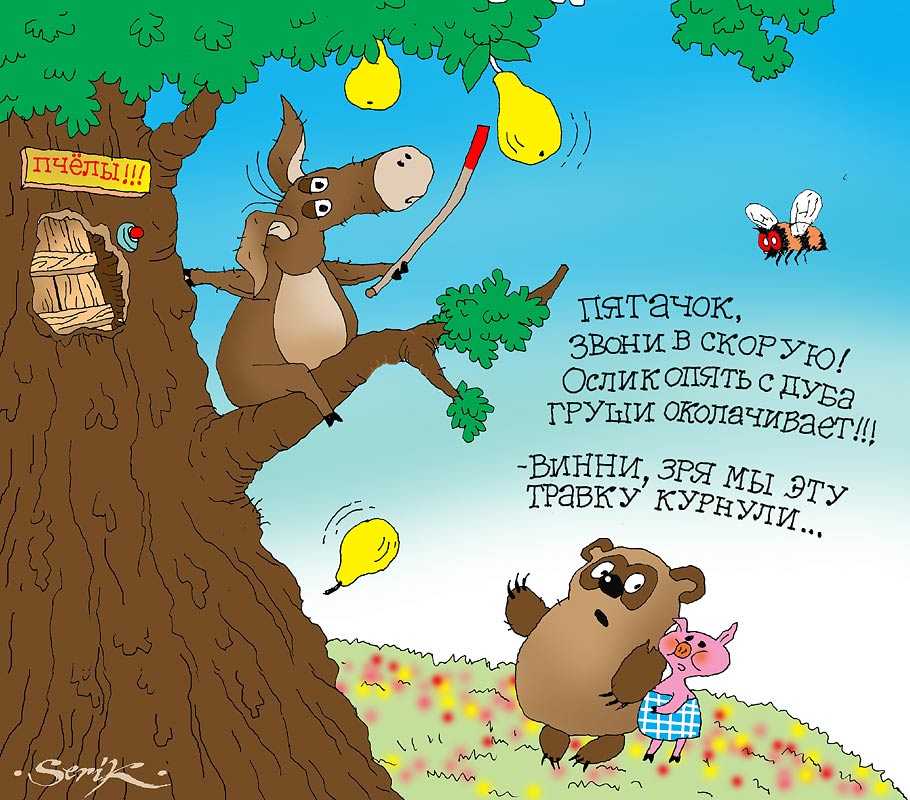 Муж объелся груш: значение