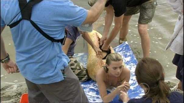 H2o: просто добавь воды | my fox вики | fandom