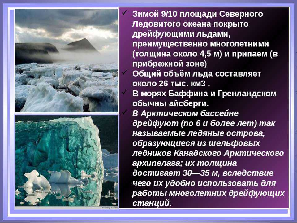 Северный ледовитый океан: краткая характеристика, описание, факты