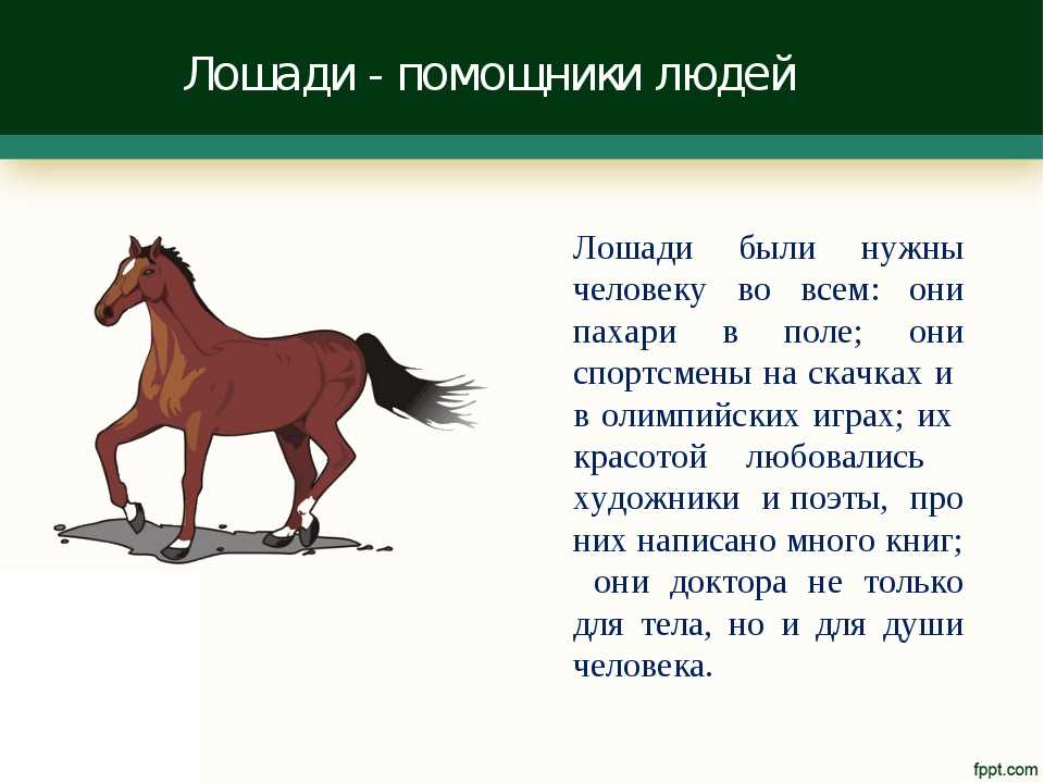В русском языке существует множество выражений и идиом которые прочно вошли в нашу повседневную речь Одно из таких выражений кони двинуть