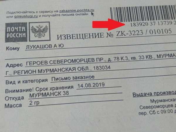 Выездная налоговая проверка. что будут проверять инспекторы?