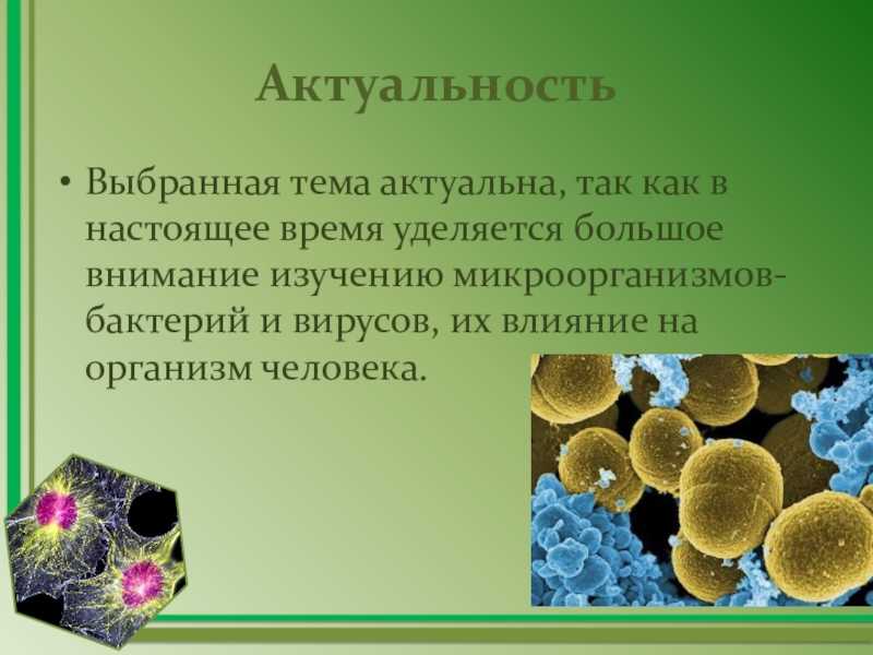 Вселенная макромир микромир мегамир отличие размеры представители. метапредметное учебное занятие "большое и малое» с использованием интерактивной доски