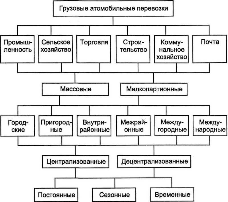 Тнп что это в перевозках