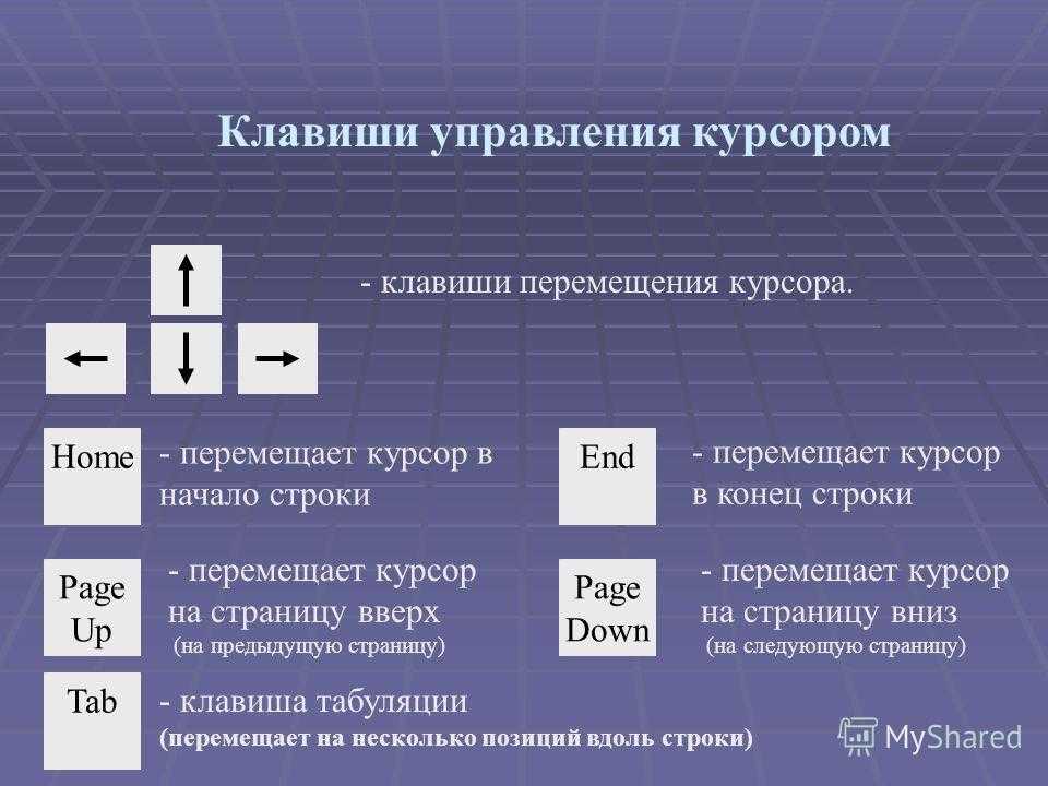 Лучшие сочетания клавиш microsoft word