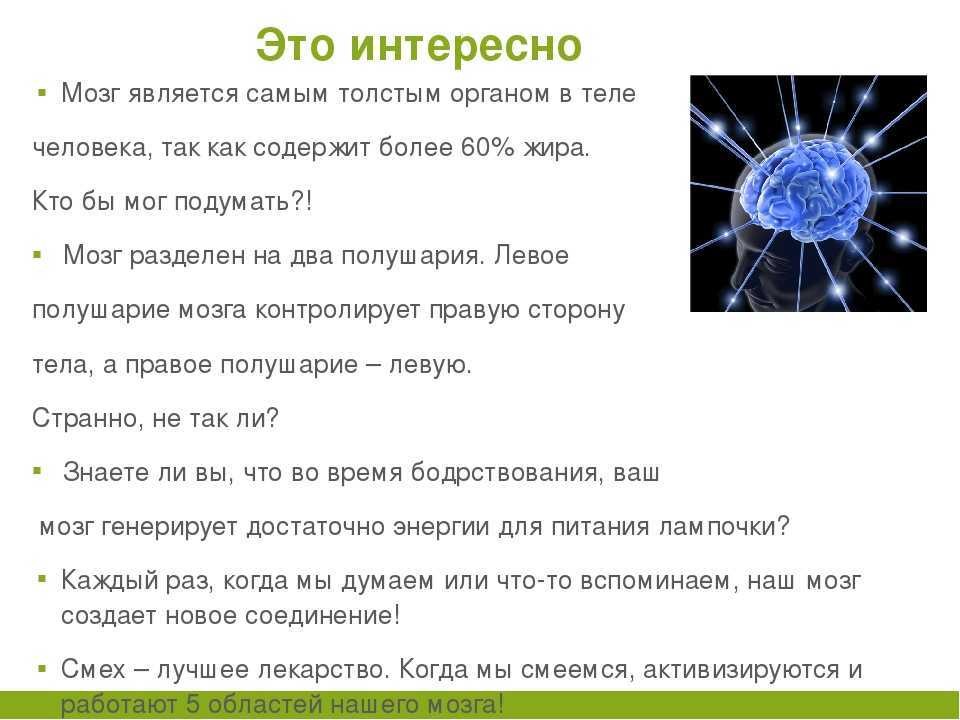 Периферическая нервная система (пнс): структура и ее функции | статьи медицинского центра «см-клиника»