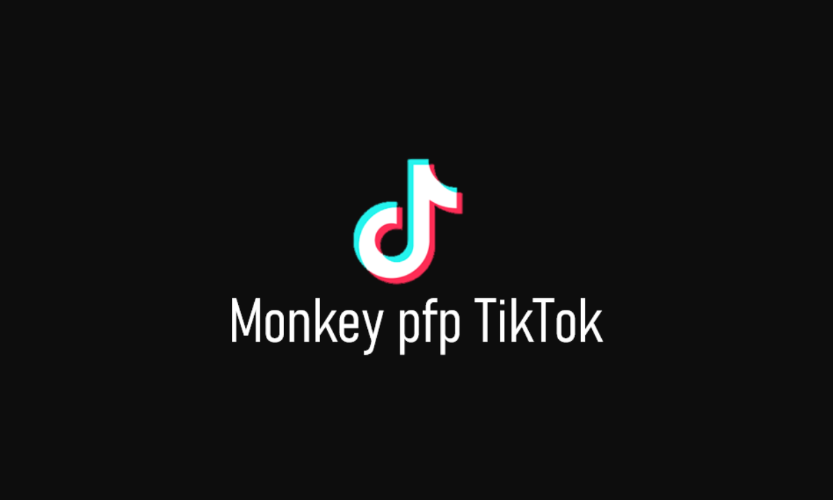 Monkey puppet мем один из самых популярных интернет трендов последних лет Этот мем стал сенсацией благодаря своей абсурдной и курьезной форме а также