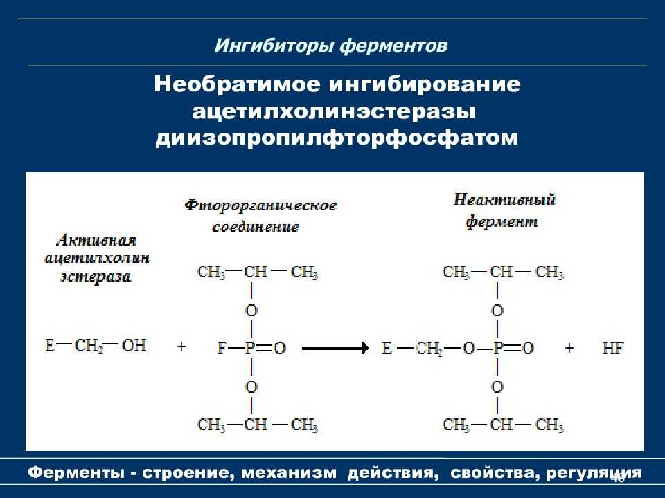 Ингибиторы микросомальных ферментов печени: что это значит?