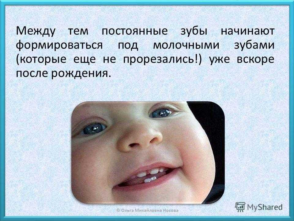 Расположение зубов у человека: схема и нумерация